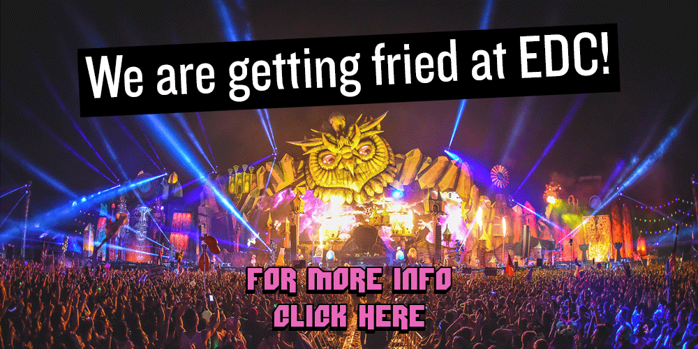 We are getting fried at Electric Daisy Carnival (EDC)!