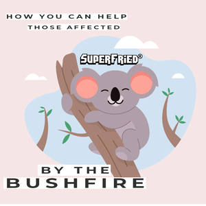 How you can help those affected by the bush fire